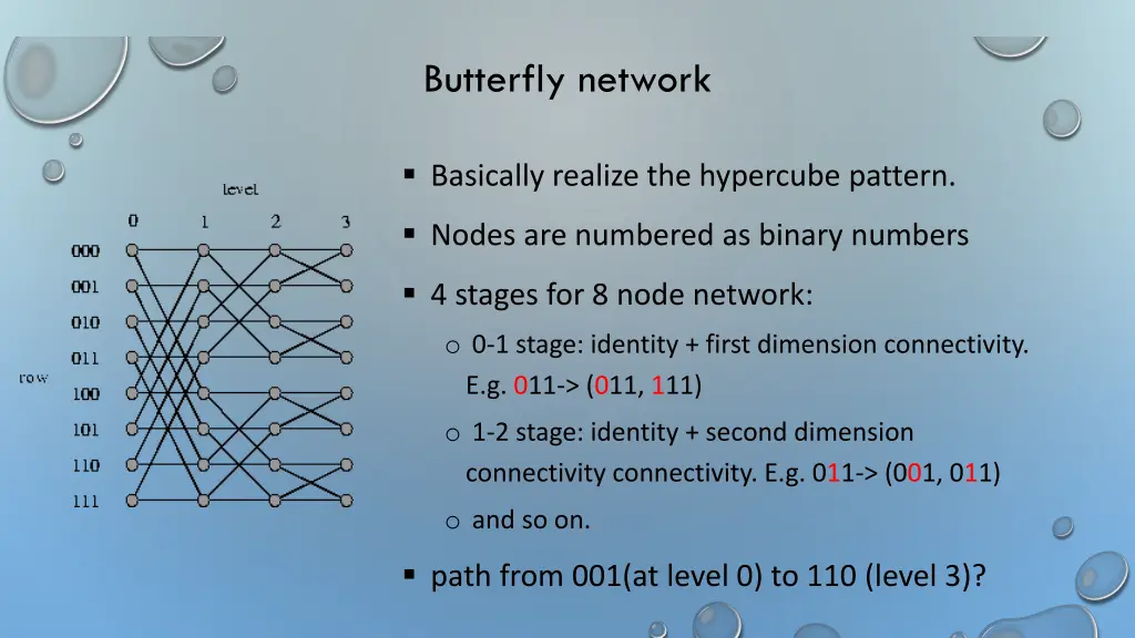 butterfly network