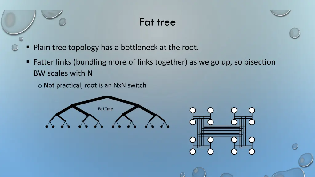 fat tree