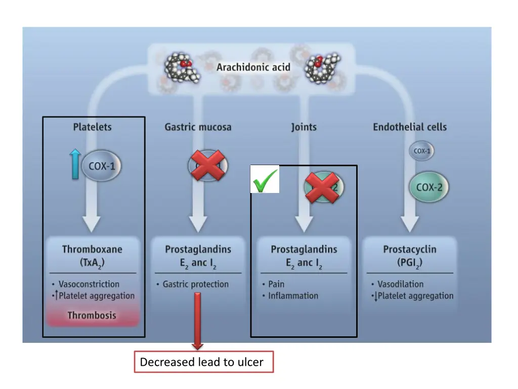 decreased lead to ulcer