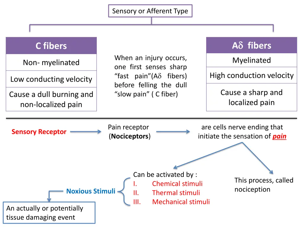 sensory or afferent type