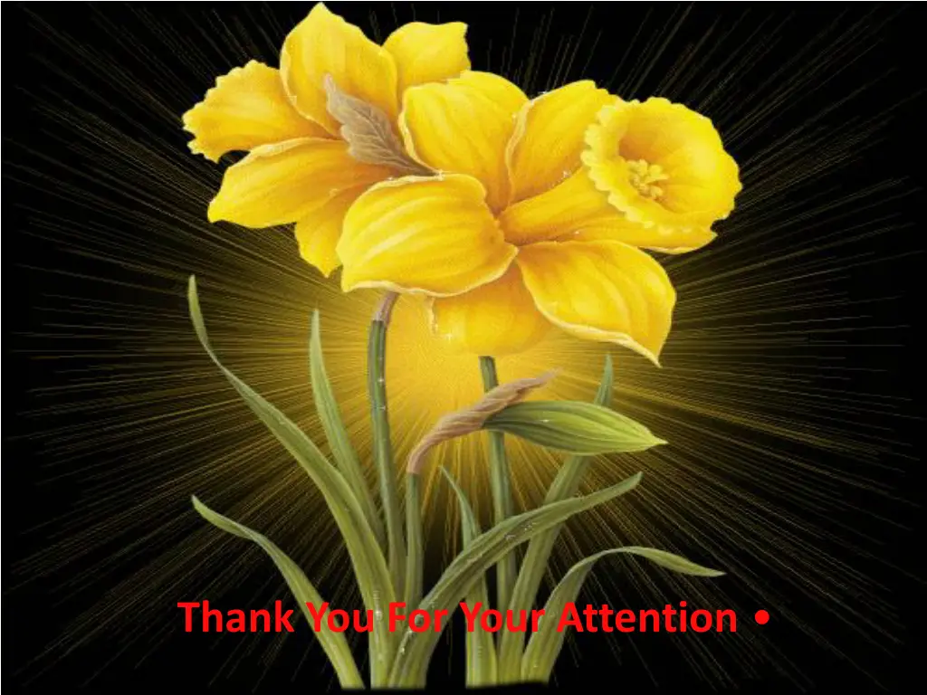 thank you for your attention