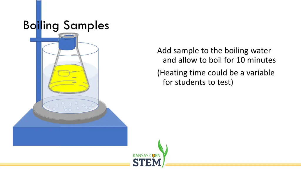 boiling samples 1