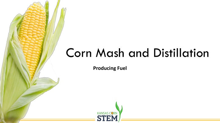 corn mash and distillation