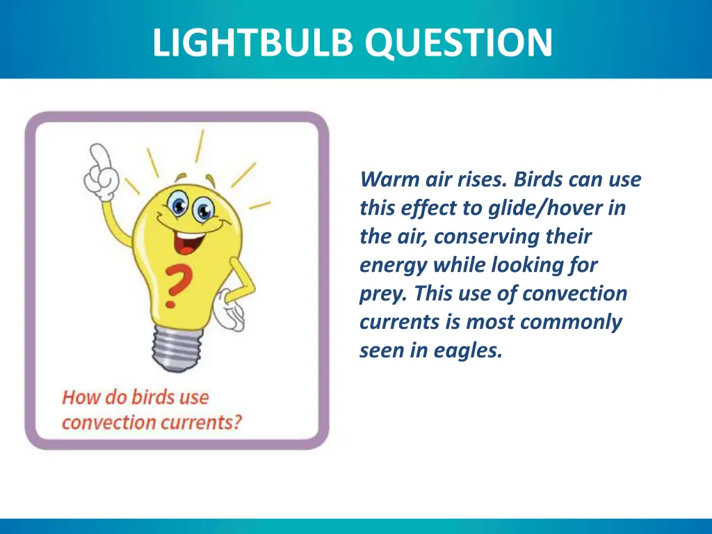 lightbulb question 1