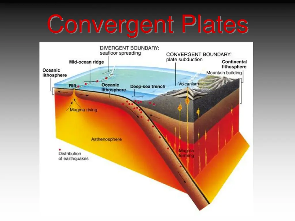 convergent plates