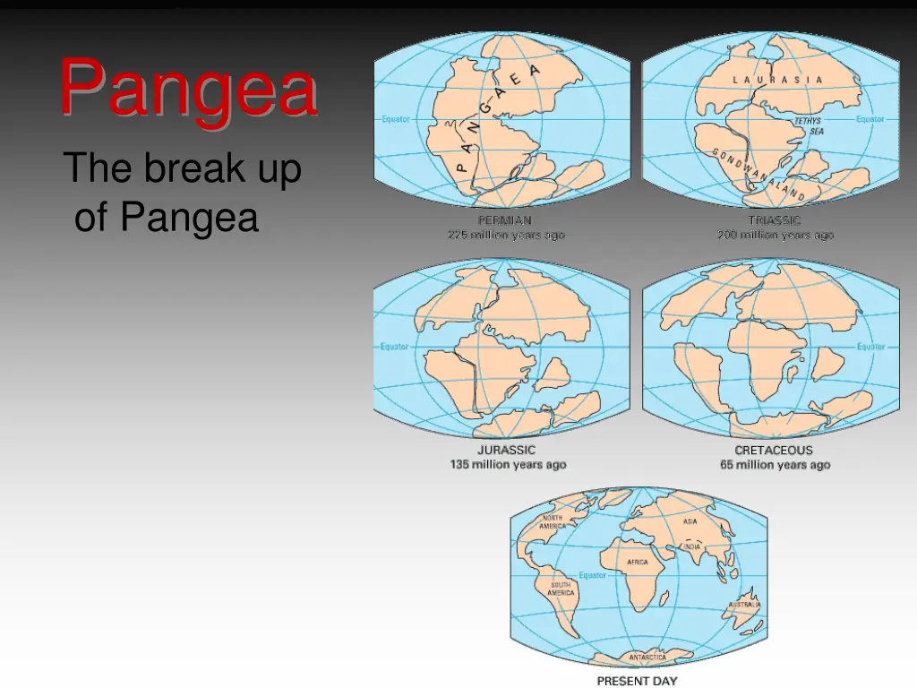 pangea the break up of pangea