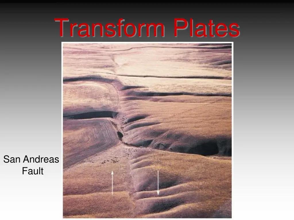 transform plates 1