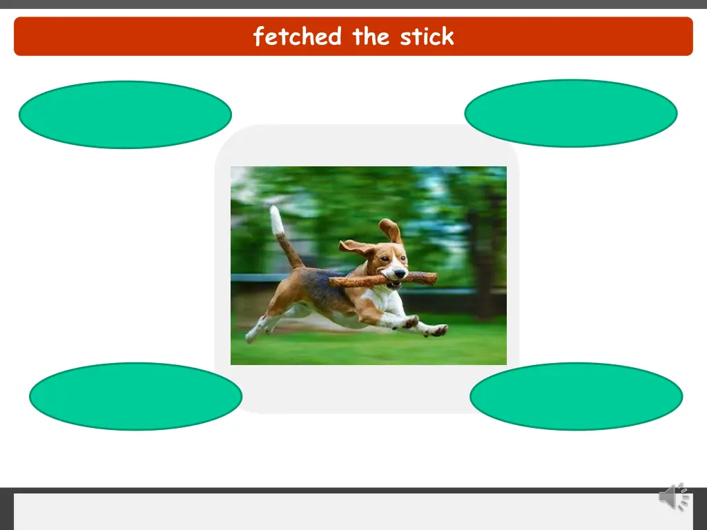 fetched the stick