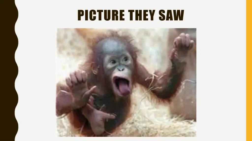 picture they saw