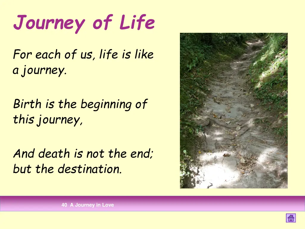 journey of life