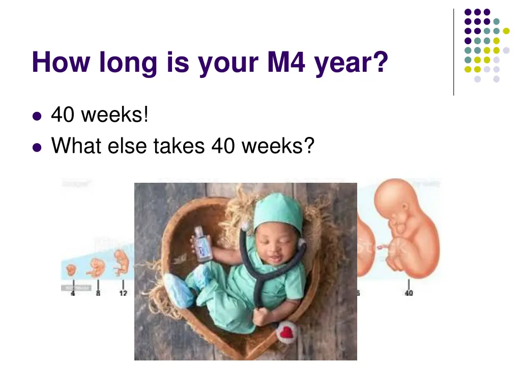 how long is your m4 year