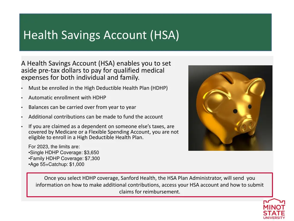 health savings account hsa