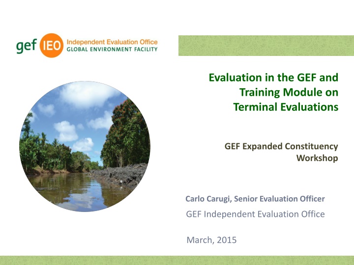 evaluation in the gef and training module