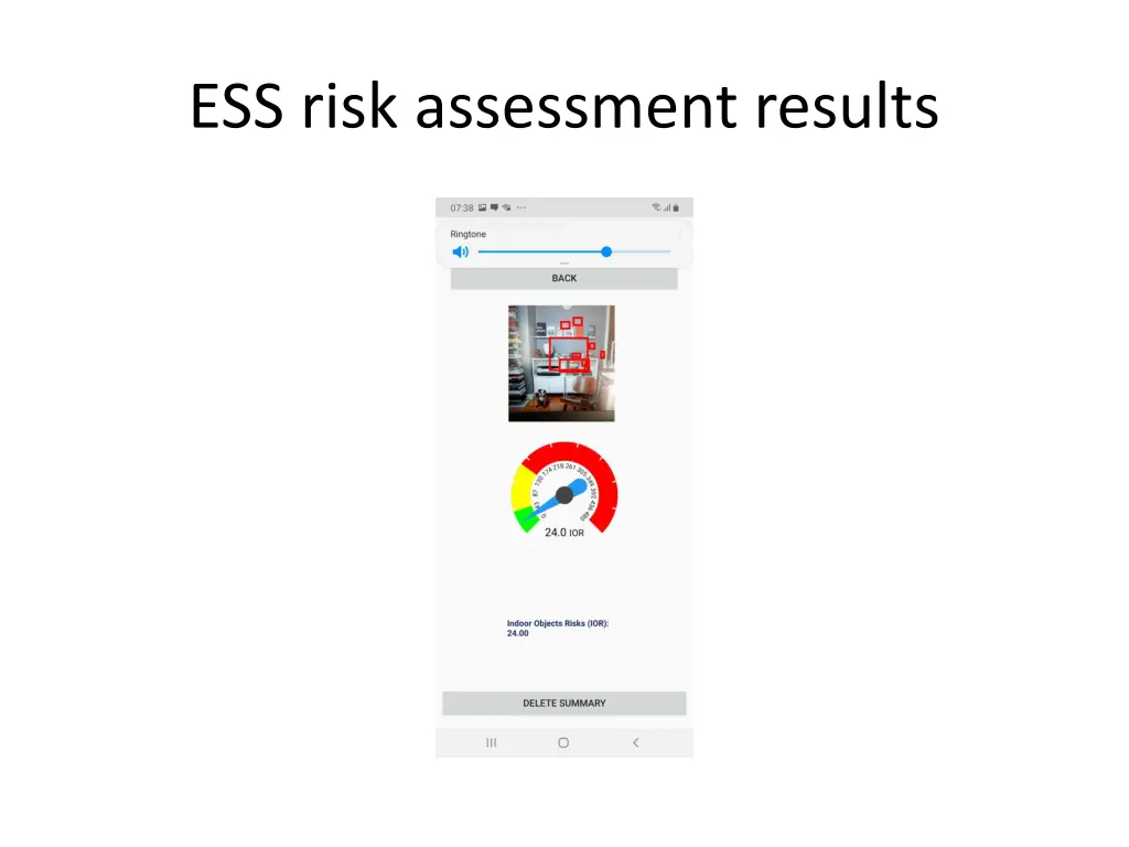 ess risk assessment results 1