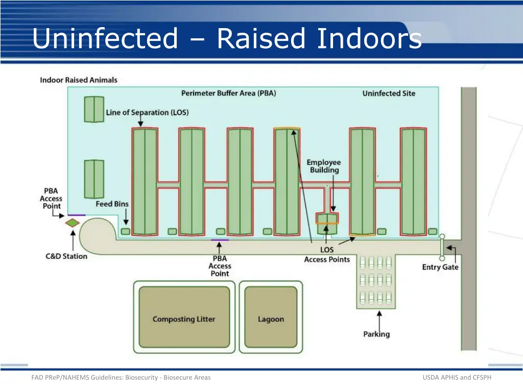 uninfected raised indoors 1