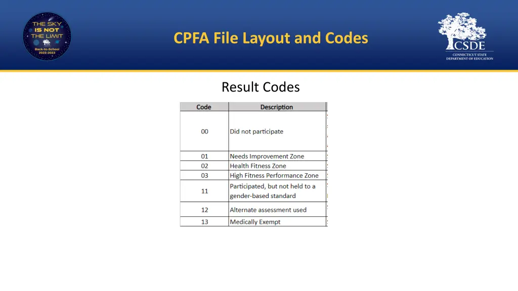 cpfa file layout and codes 1