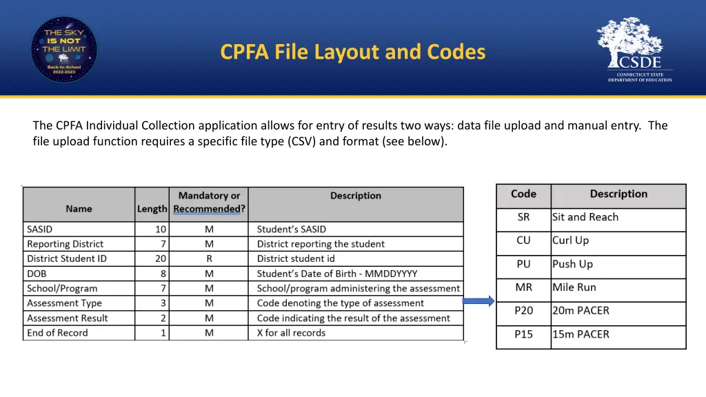 cpfa file layout and codes