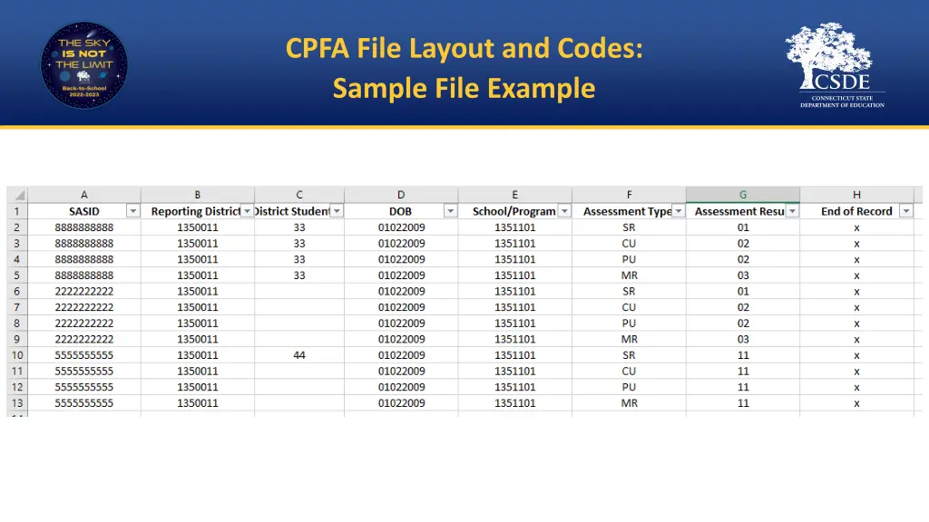 cpfa file layout and codes sample file example