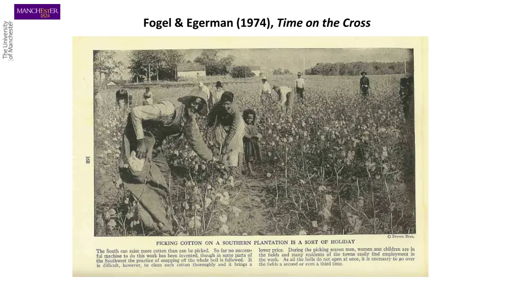 fogel egerman 1974 time on the cross