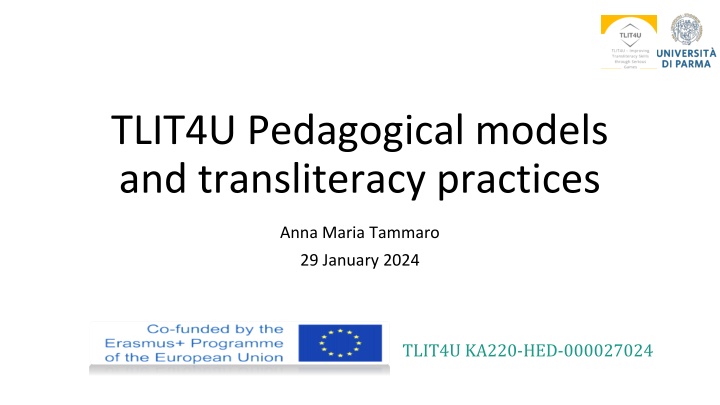 tlit4u pedagogical models and transliteracy