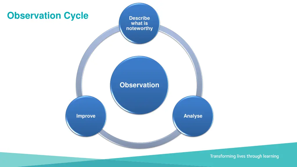 observation cycle