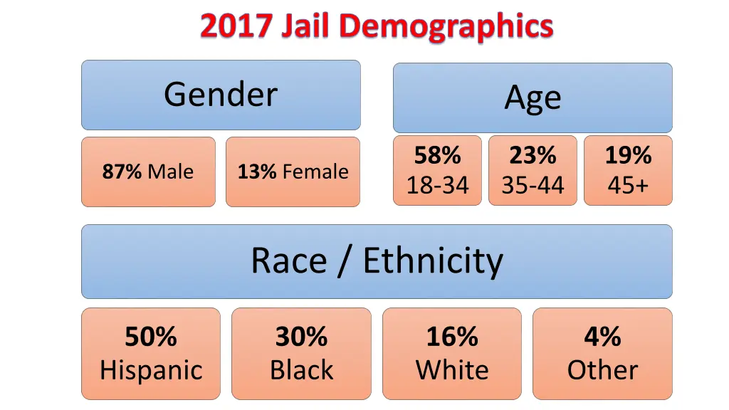 2017 jail demographics