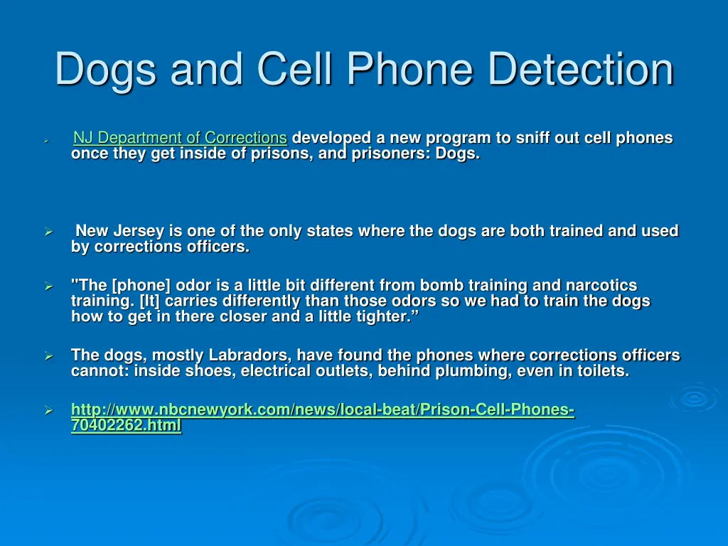 dogs and cell phone detection