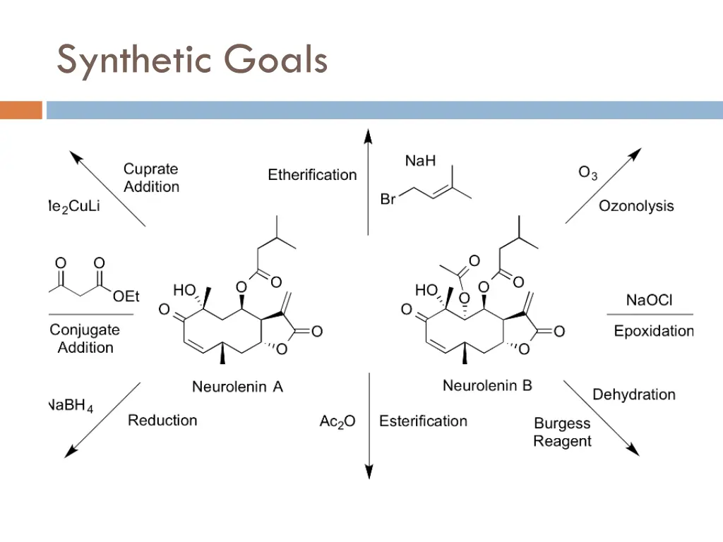 synthetic goals