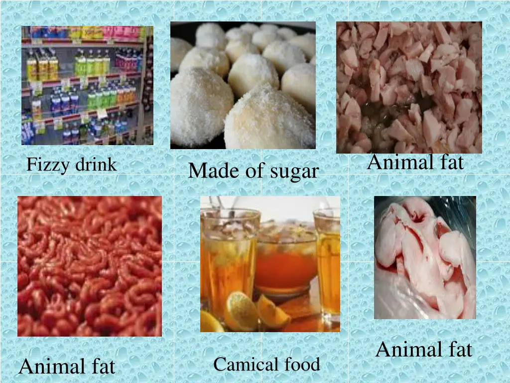 animal fat