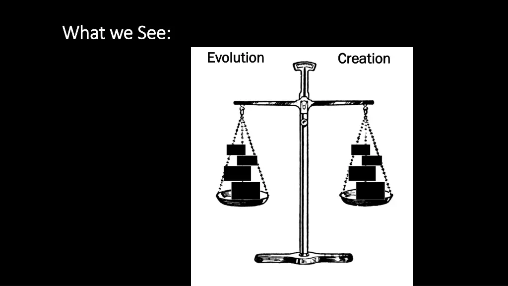 what we see what we see