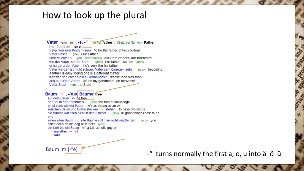 how to look up the plural