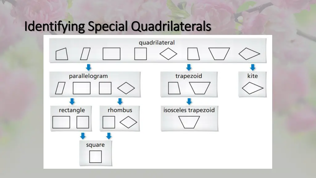 identifying special quadrilaterals identifying