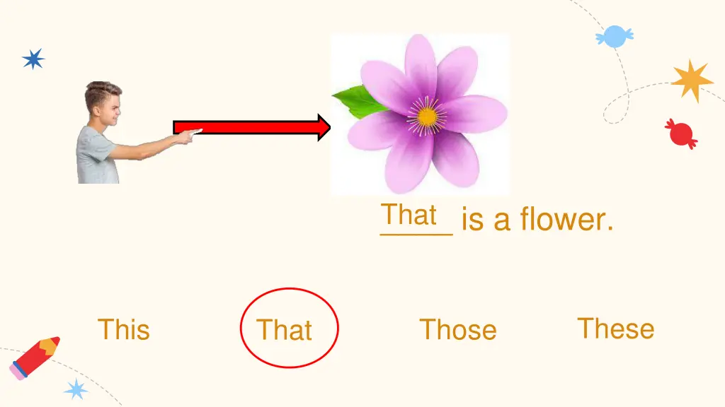 is a flower that