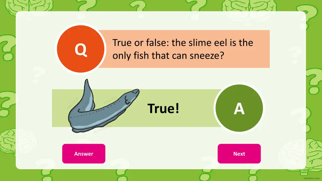 true or false the slime eel is the only fish that