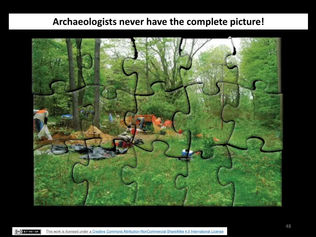 archaeologists never have the complete picture