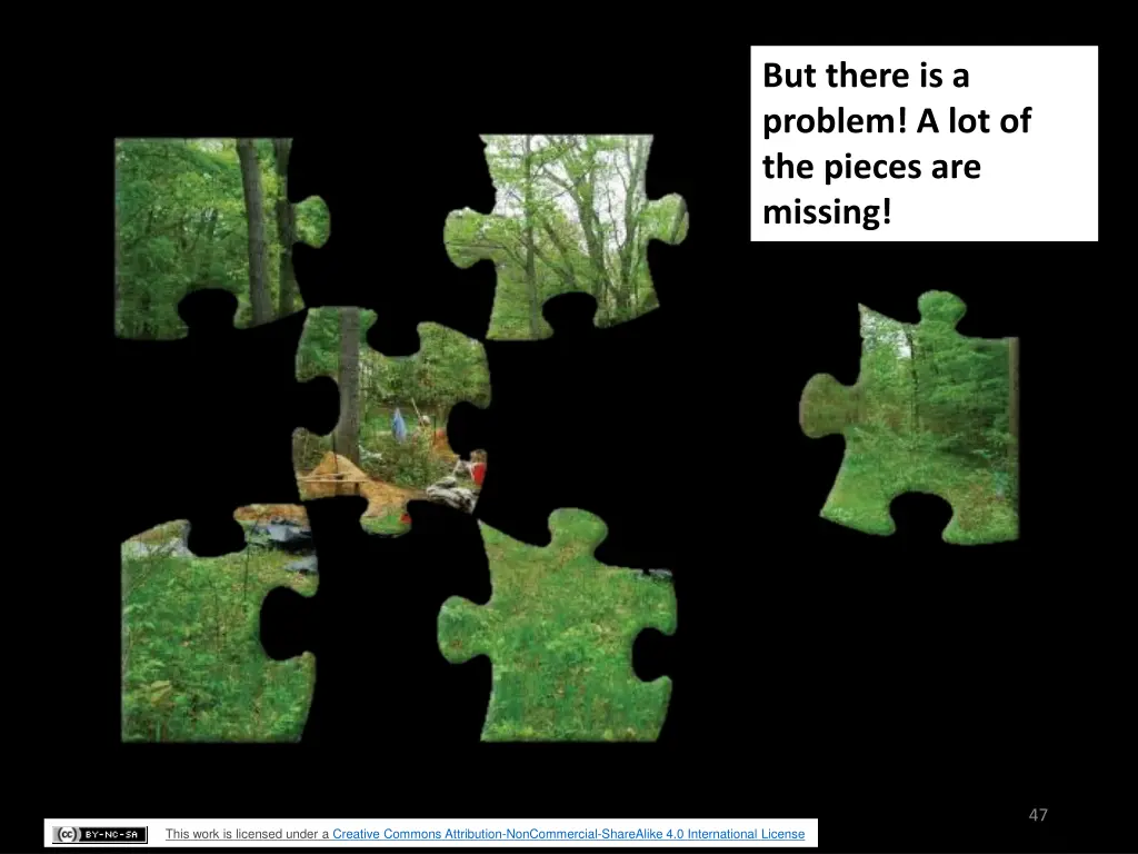 but there is a problem a lot of the pieces