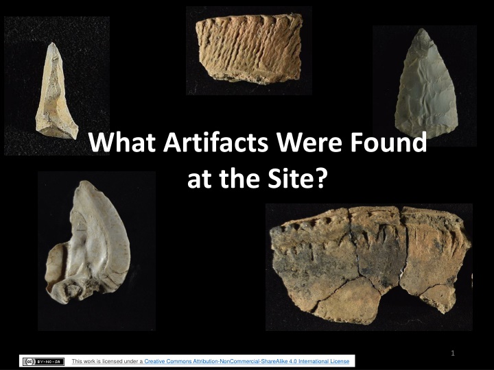 what artifacts were found at the site