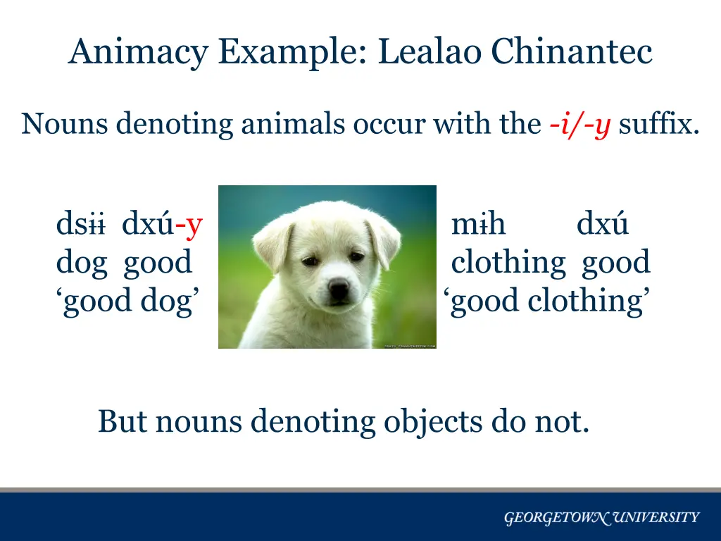 animacy example lealao chinantec 1