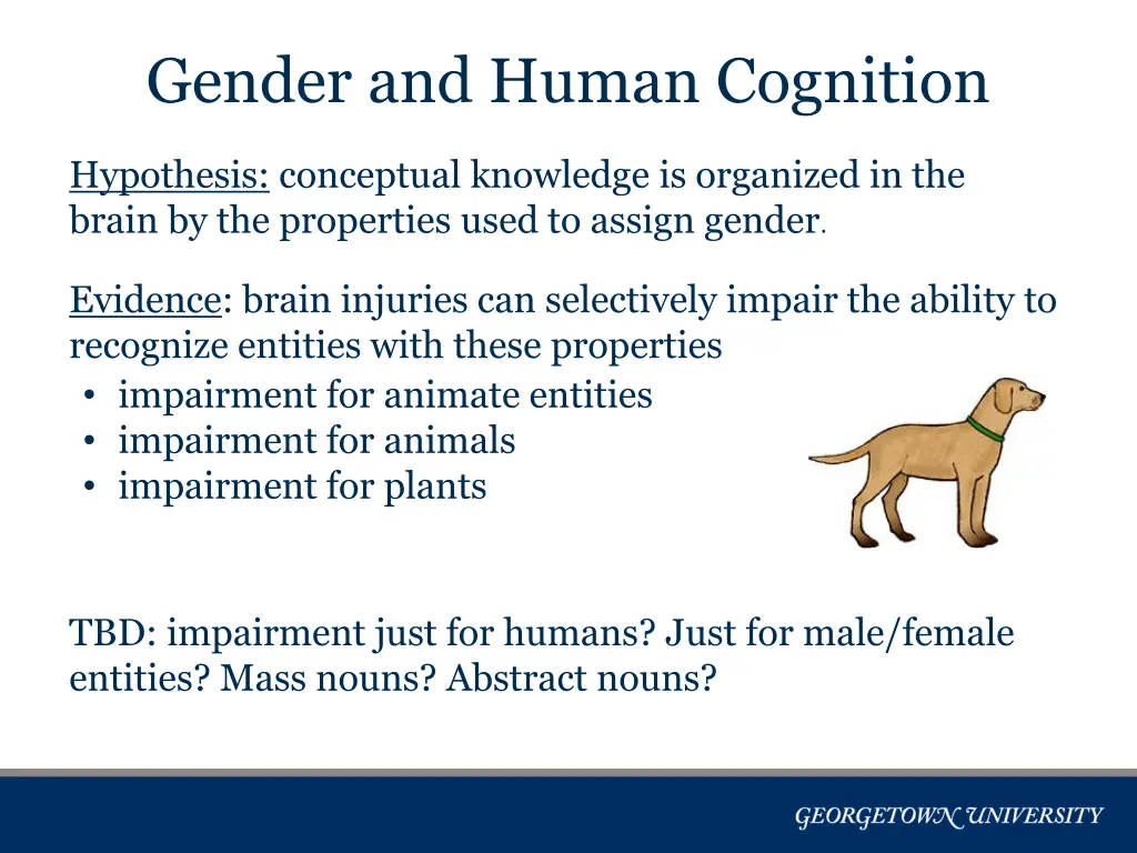 gender and human cognition 1