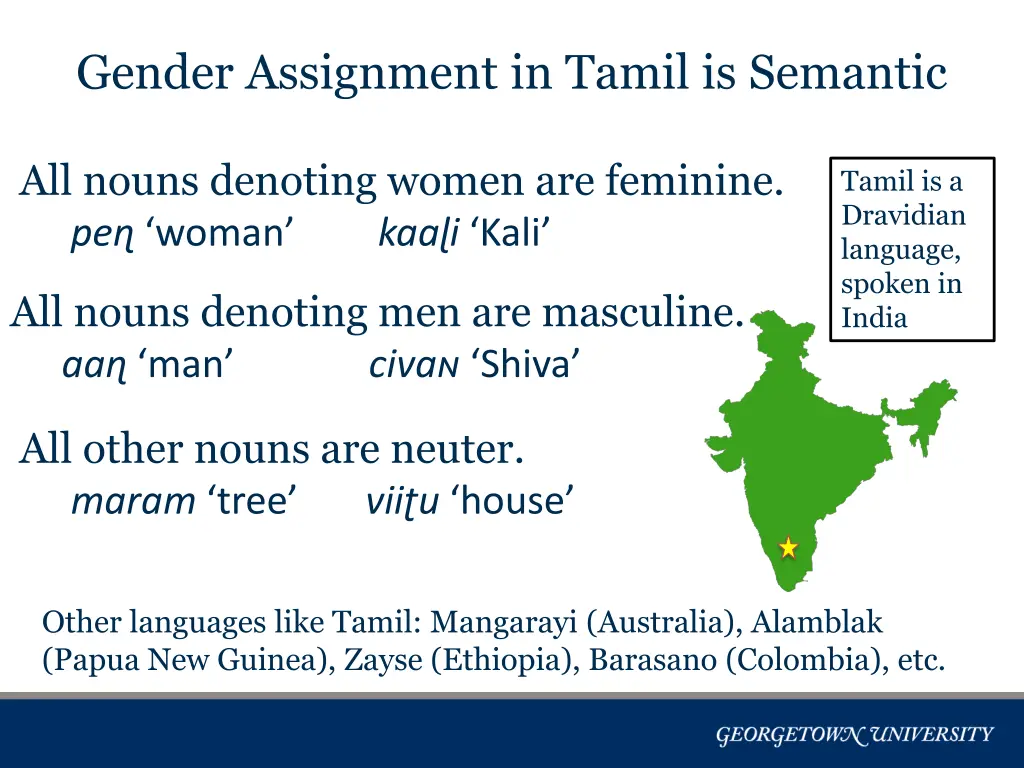 gender assignment in tamil is semantic