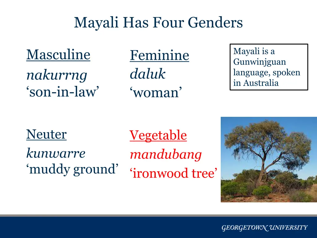 mayali has four genders