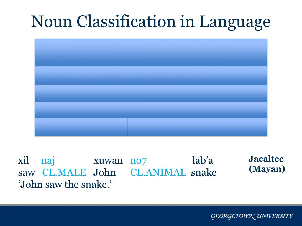 noun classification in language