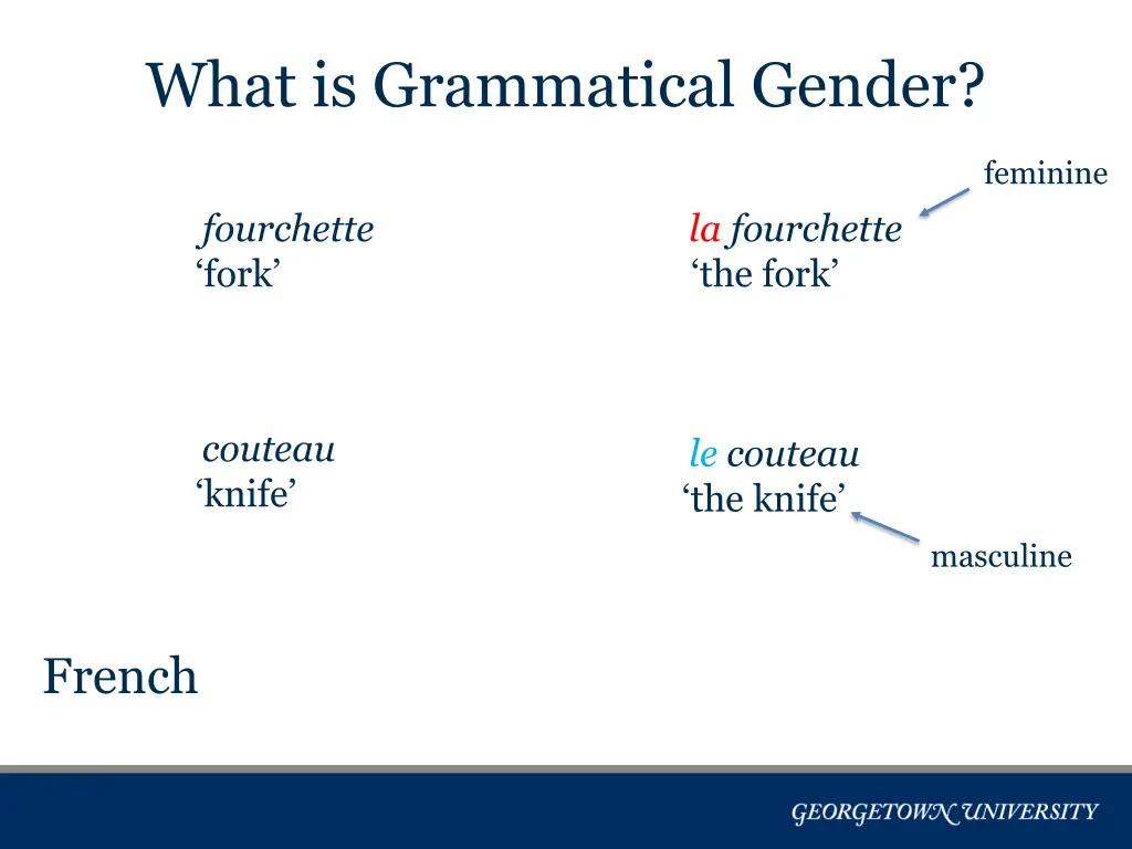 what is grammatical gender