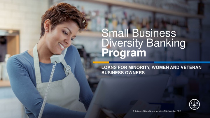 small business diversity banking program