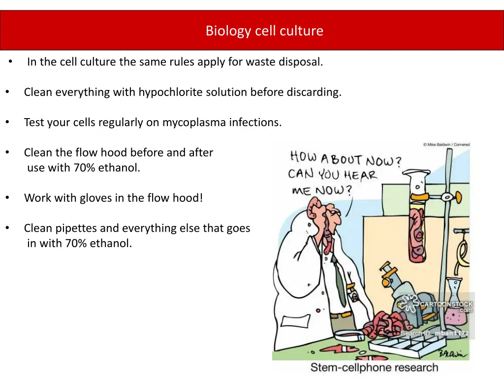 biology cell culture