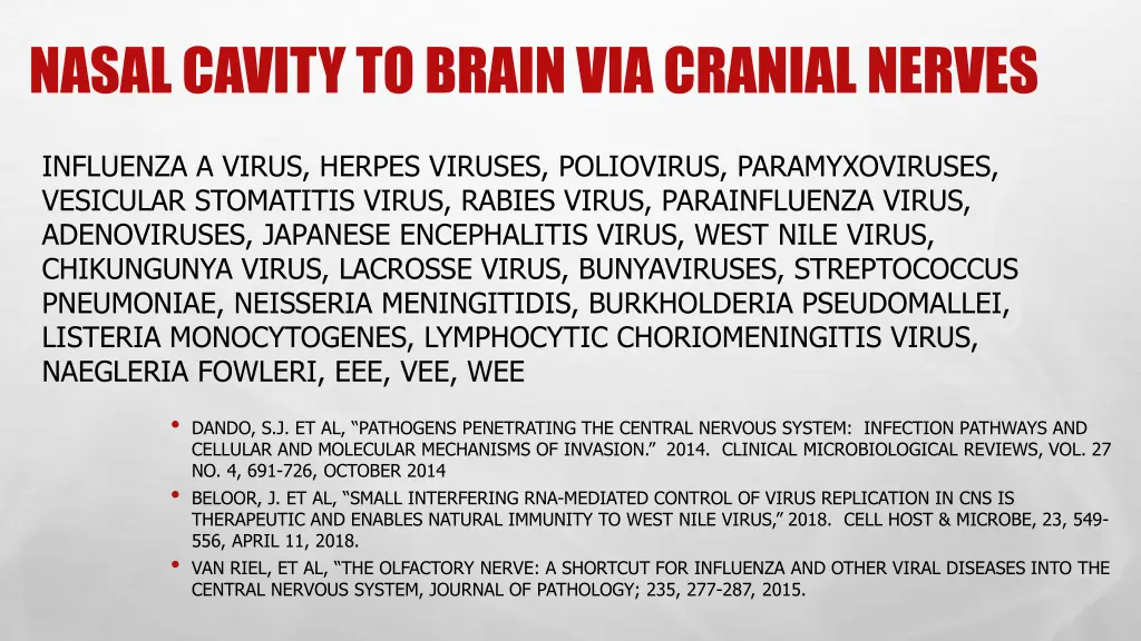 nasal cavity to brain via cranial nerves