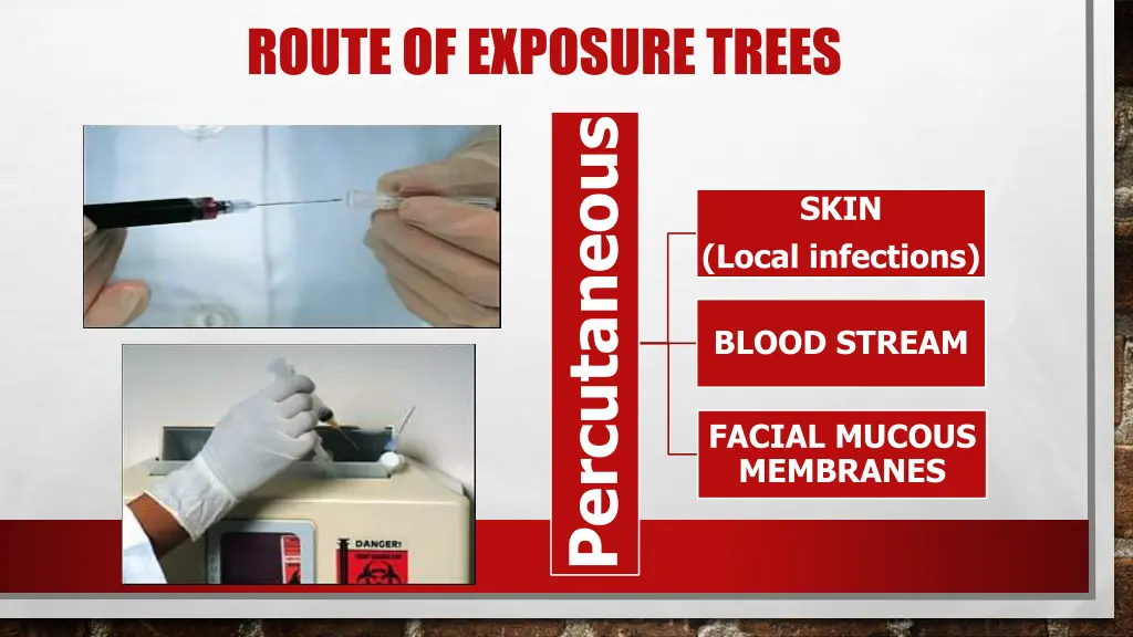 route of exposure trees 2