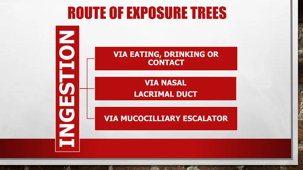 route of exposure trees ingestion