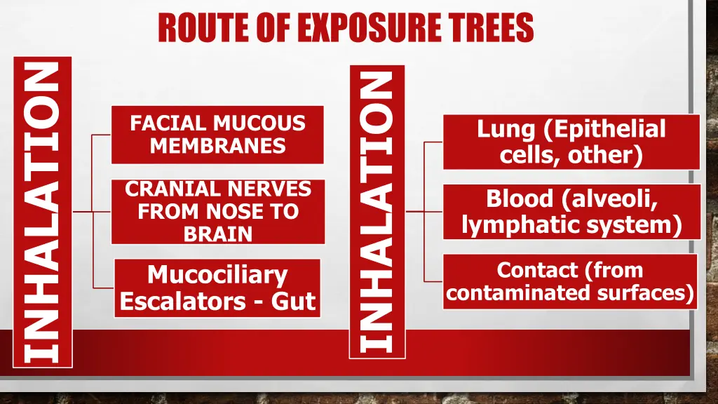 route of exposure trees