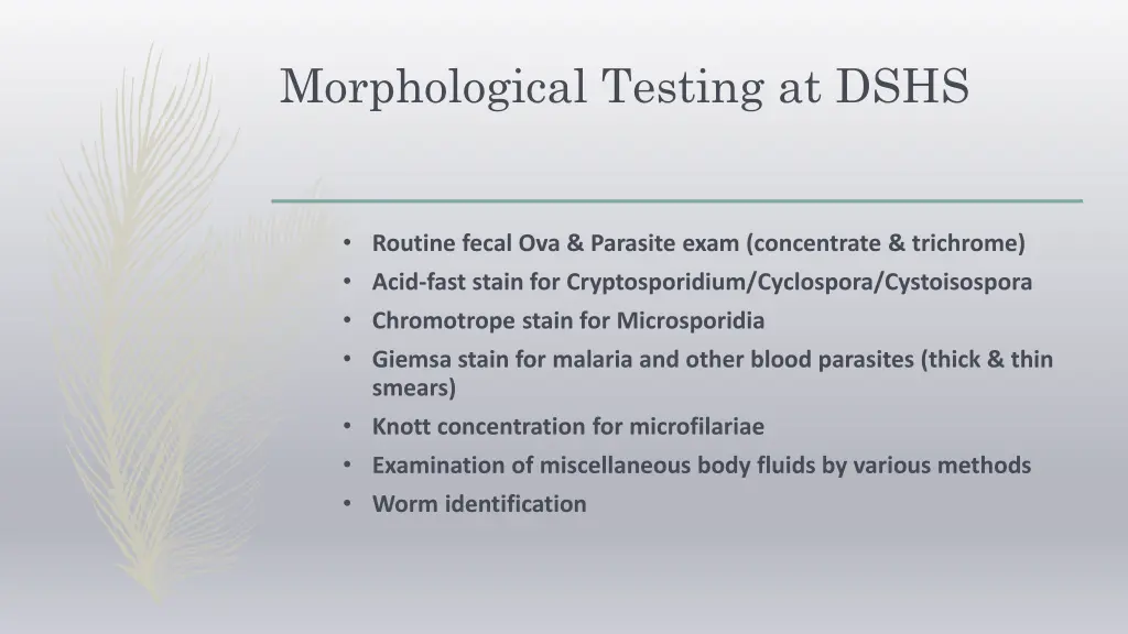 morphological testing at dshs